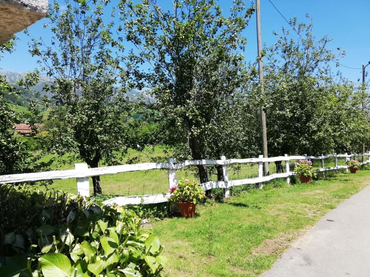La Casa Nueva Alojamiento Rural Cereceda  Екстериор снимка