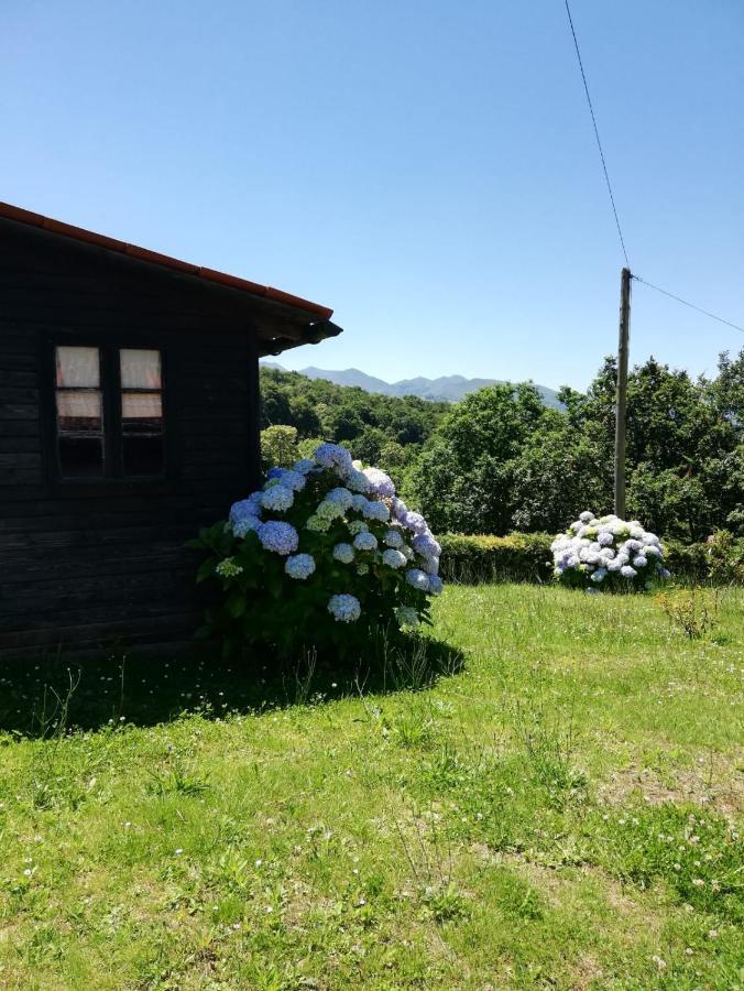 La Casa Nueva Alojamiento Rural Cereceda  Екстериор снимка