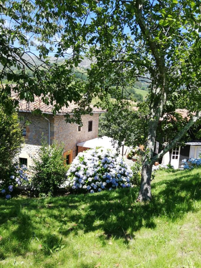 La Casa Nueva Alojamiento Rural Cereceda  Екстериор снимка
