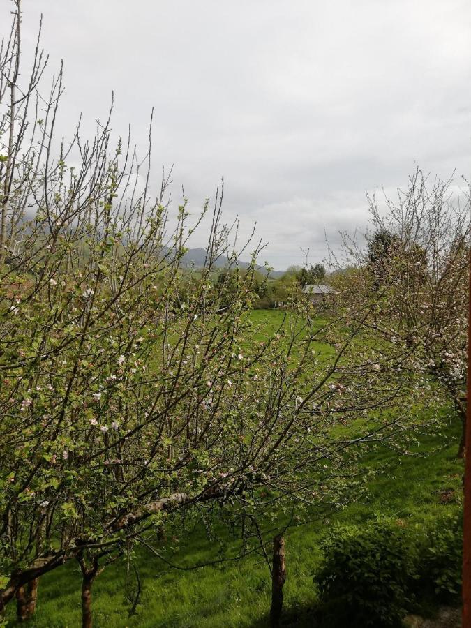 La Casa Nueva Alojamiento Rural Cereceda  Екстериор снимка