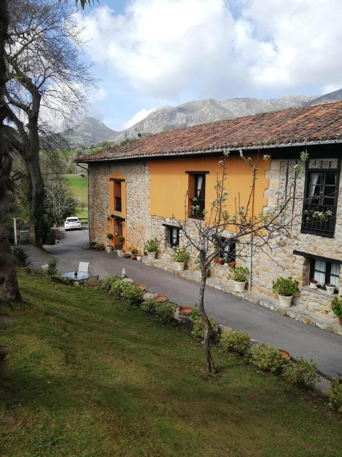 La Casa Nueva Alojamiento Rural Cereceda  Екстериор снимка