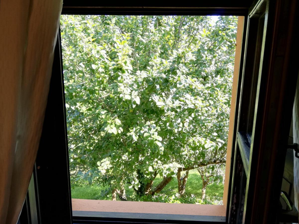 La Casa Nueva Alojamiento Rural Cereceda  Екстериор снимка