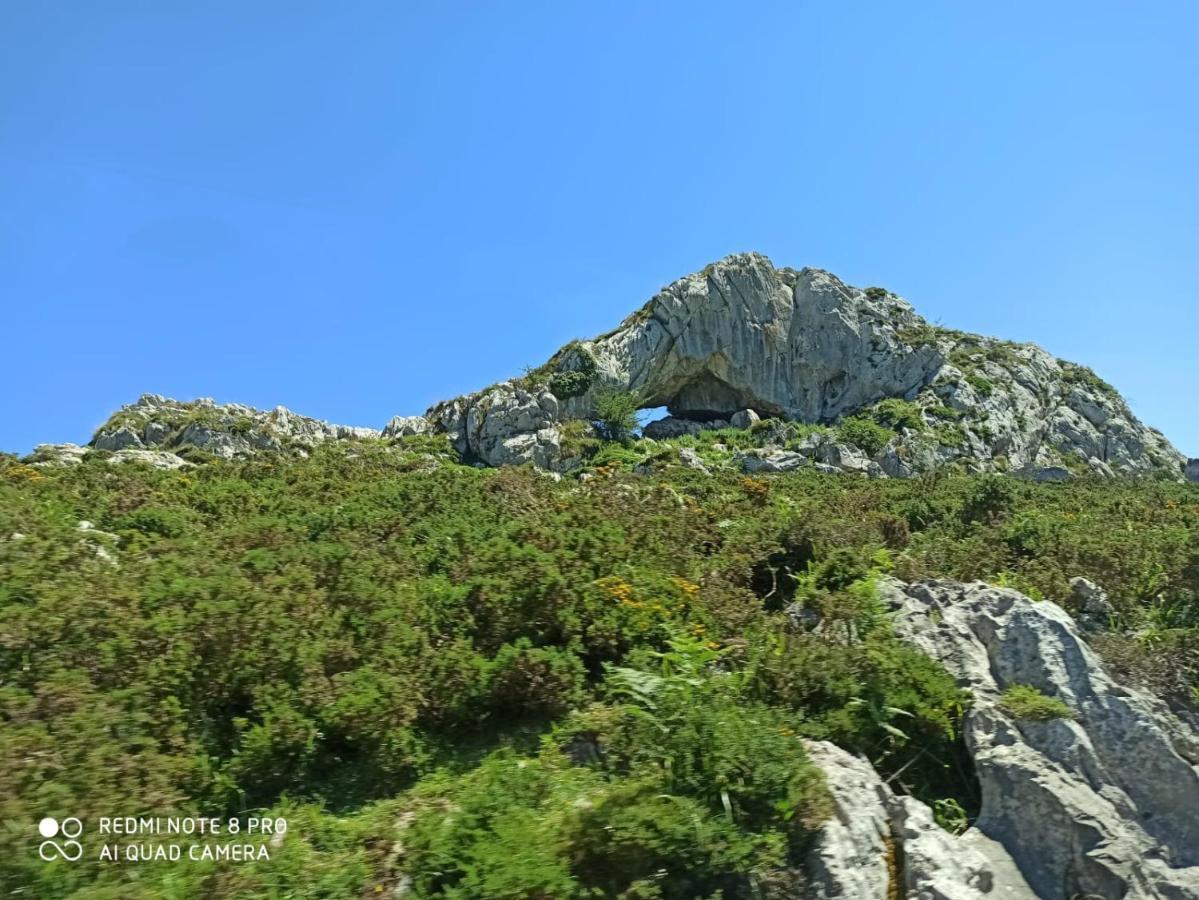 La Casa Nueva Alojamiento Rural Cereceda  Екстериор снимка