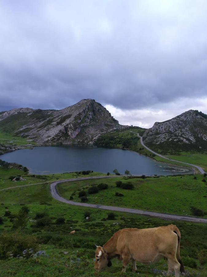 La Casa Nueva Alojamiento Rural Cereceda  Екстериор снимка