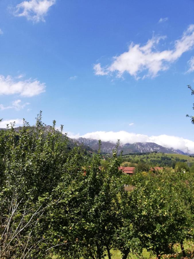 La Casa Nueva Alojamiento Rural Cereceda  Екстериор снимка
